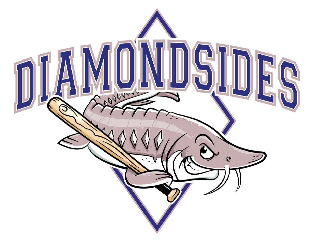 Diamondsides Baseball