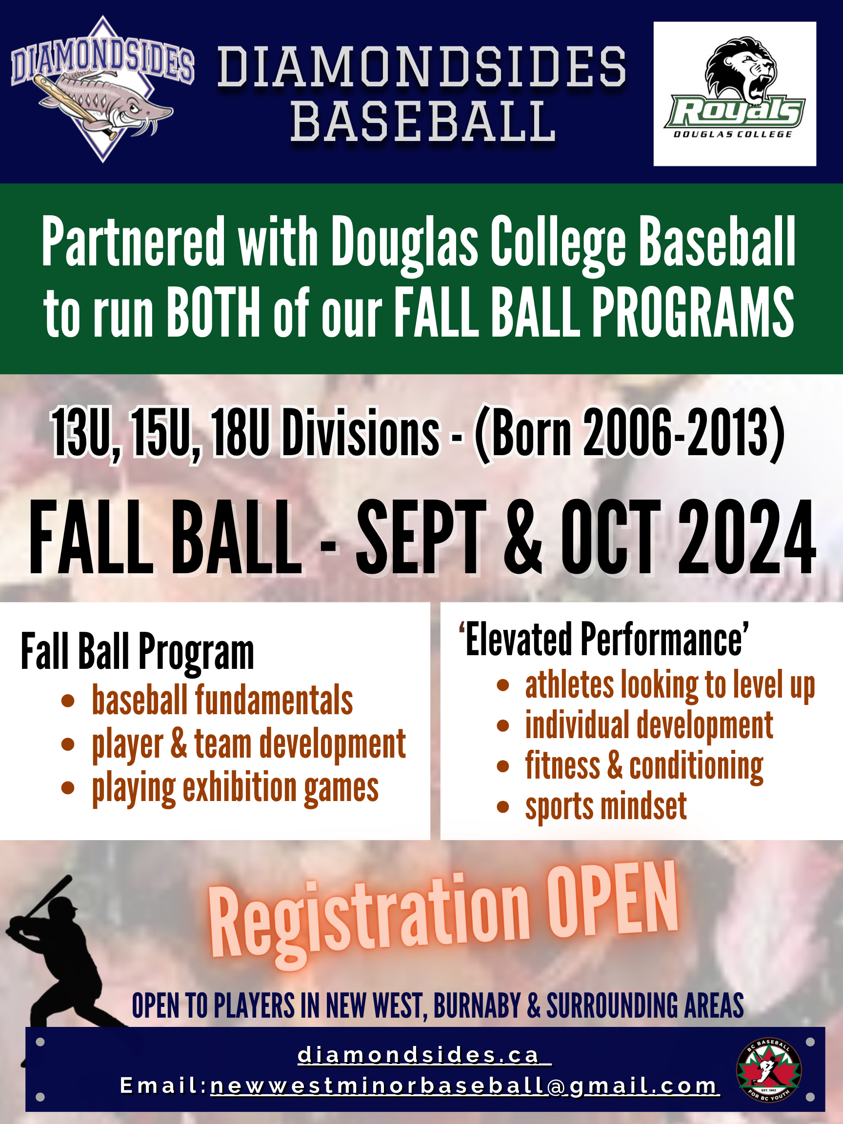 New Fall Ball Program Registration Now Open!