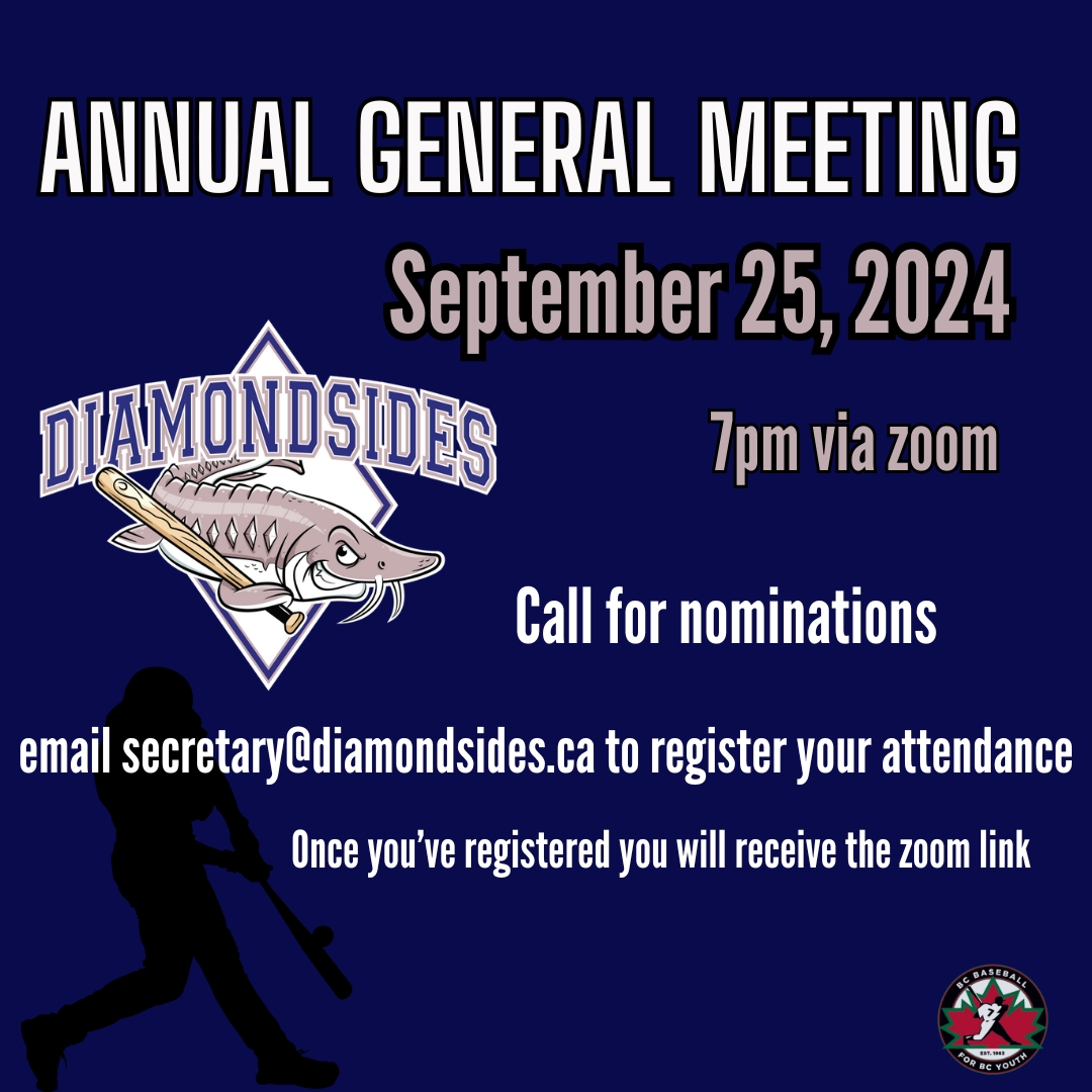 Diamondsides Annual General Meeting